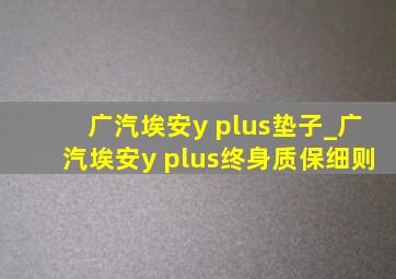 广汽埃安y plus垫子_广汽埃安y plus终身质保细则